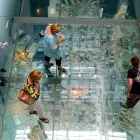 Business 4 image FREE TOURS SYDNEY Walking Tours in Sydney NSW