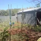 Business 2 image G. COLLS & R MACHULEC LANDSCAPING Water in Parafield Gardens SA