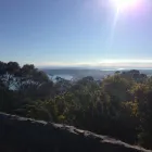 Business 2 image GARBAGE GUTS BIN HIRE walk in skip bins for hire in Tooradin VIC