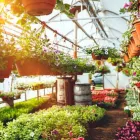 Business 1 image GARDENER'S TREASURES Nurseries-Retail in Adelaide SA