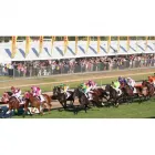 Business 1 image GC EVENT HIRE Wedding Venues in Toowoomba QLD