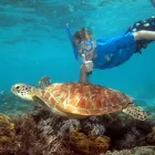 Business 3 image GEKO ENT PTY LTD Tourist Information Center in Cairns QLD