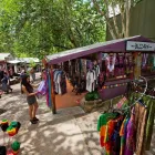 Business 4 image GEKO ENT PTY LTD Tourist Information Center in Cairns QLD