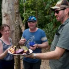 Business 7 image GEKO ENT PTY LTD Tourist Information Center in Cairns QLD