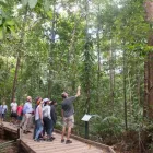 Business 8 image GEKO ENT PTY LTD Tourist Information Center in Cairns QLD