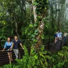Business 9 image GEKO ENT PTY LTD Tourist Information Center in Cairns QLD