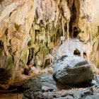 Business 16 image GEKO ENT PTY LTD Tourist Information Center in Cairns QLD