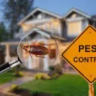 Business 2 image GENERAL PEST CONTROL ADELAIDE Pest Control in Adelaide SA
