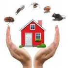 Business 3 image GENERAL PEST CONTROL ADELAIDE Pest Control in Adelaide SA