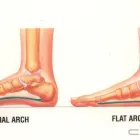 Business 6 image GEORGE ST PODIATRY viral warts in East Fremantle WA