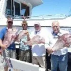 Business 2 image GET HOOKED FISHING CHARTERS Snapper Fishing in Ashford SA