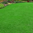 Business 5 image GRECH'S TURF SUPPLIES Turf & Lawn Suppliers in Sydney NSW
