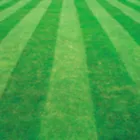Business 8 image GRECH'S TURF SUPPLIES Turf & Lawn Suppliers in Sydney NSW
