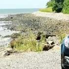 Business 2 image GREEN ANT LIMOUSINES CAIRNS town car service in Cairns City QLD