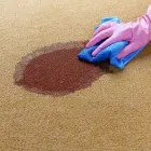 Business 1 image GREEN CLEANERS TEAM - CARPET CLEANING TOOWOOMBA Carpet Cleaning & Protection in Toowoomba QLD