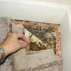 Business 4 image GREEN CLEANERS TEAM - CARPET CLEANING TOOWOOMBA Carpet Cleaning & Protection in Toowoomba QLD