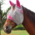 Business 1 image HA BRANDS Horse Riding in Pakenham VIC