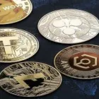 Business 1 image HEDGE WITH CRYPTO Finance in Burswood WA