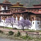 Business 1 image HIMALAYAN EXPERIENCE TRAVEL Travel Agents in Adelaide SA