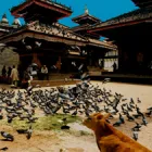Business 6 image HIMALAYAN EXPERIENCE TRAVEL Travel Agents in Adelaide SA