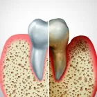 Business 4 image HOLISTIC DENTAL DONVALE TMJ Treatment in Donvale VIC