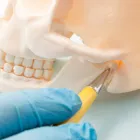 Business 3 image HOLISTIC DENTAL DONVALE General Dentistry in Donvale VIC