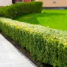 Business 4 image HORTCULTURE Gardeners in Sydney NSW