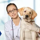 Business 3 image HPS PHARMACIES - ASHFORD Private Health in Ashford SA
