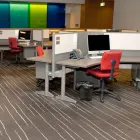 Business 8 image IMPERIAL CARPET & UPHOLSTERY CLEANING Commercial & Industrial Cleaning Services in Adelaide SA
