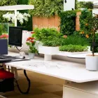 Business 1 image INDOOR PLANTS FOR OFFICE | FOLIAGE INDOOR PLANT HIRE Lawn Mowing Services in Melbourne VIC
