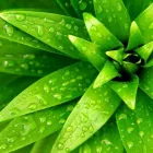 Business 1 image INNERLIFE COUNSELLING & PSYCHOLOGY Psychotherapists in Sydney NSW
