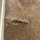 Business 5 image INVISIBLE CARPET REPAIR BRISBANE Business Supplies in Brisbane QLD