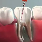 Business 6 image JK DENTAL HOPPERS CROSSING Dentists in Hoppers Crossing VIC