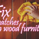 Business 1 image JUMBO CLEANING SERVICES Jumbo Cleaning in Piara Waters WA