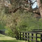 Business 1 image KAIKURA LAND SALES Real Estate Agents in Cranbourne VIC