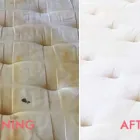 Business 1 image KANGAROO MATTRESS CLEANING SYDNEY Home Cleaning in Sydney NSW