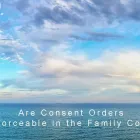 Business 2 image KATE AUSTIN FAMILY LAWYERS Family Lawyers in Sydney NSW