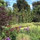 Business 1 image LANDSCAPE DESIGN ADELAIDE Landscaping & Landscape Design in Malvern SA