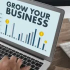 Business 1 image LIONFIRE LOCAL MARKETING Digital Marketing Agency in Brisbane QLD