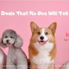 Business 4 image LOANSHUB Small Business Loans in Brisbane QLD