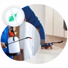 Business 1 image LOCAL PEST CONTROL ADELAIDE Pest Management in Adelaide SA
