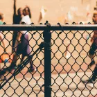 Business 1 image LONGAIN FENCING Fencing Contractors in Sydeny NSW