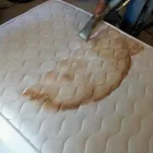 Business 1 image MATTRESS CLEANER SYDNEY Mattress Cleaning in Sydney NSW