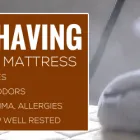 Business 1 image MATTRESS CLEANING SYDNEY Mattress Cleaning in Sydney NSW