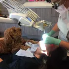 Business 7 image MCMAHONS POINT DENTAL Dentist in McMahons Point NSW