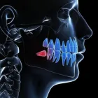 Business 1 image MCMAHONS POINT HEALTH Teeth Whitening in McMahons Point NSW