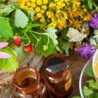 Business 6 image MELBOURNE NATURAL WELLNESS Reflexology in North Melbourne VIC