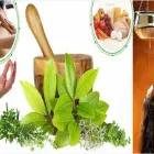 Business 1 image MERRIDY CASSON Nutrition in Adelaide SA