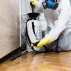 Business 5 image MICK’S PEST CONTROL ADELAIDE Pest Control in Adelaide SA