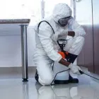 Business 2 image MICK’S PEST CONTROL BRISBANE Pest Control in Brisbane QLD